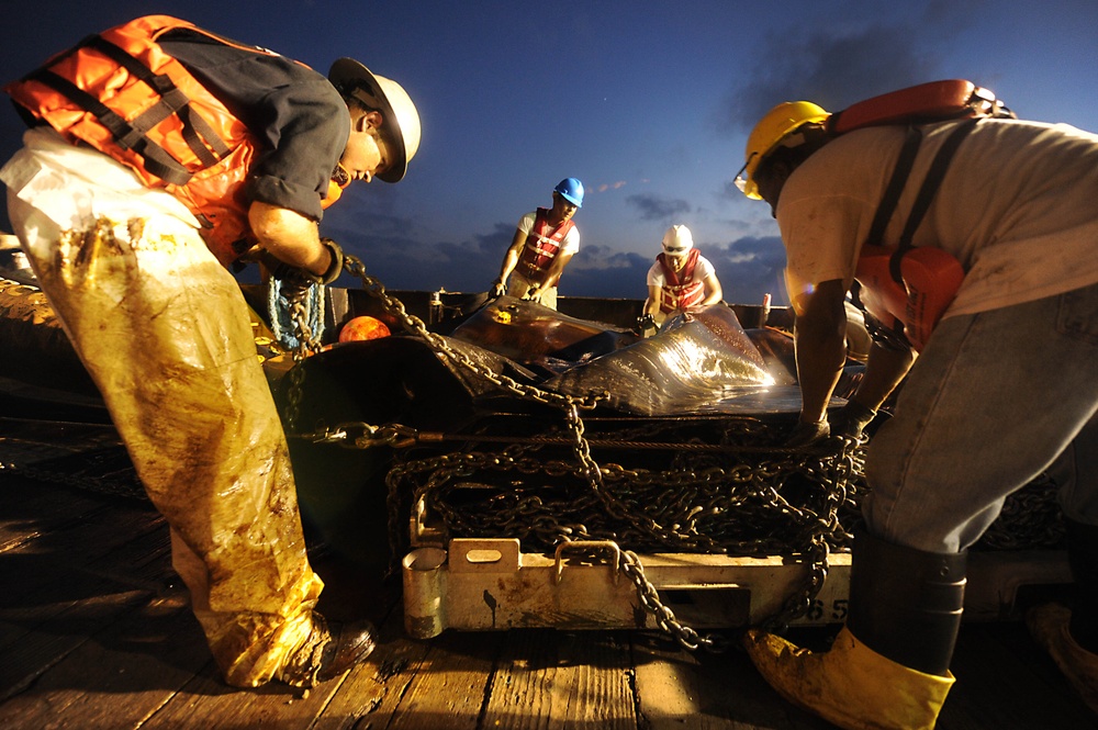 Deepwater Horizon Oil Spill Response