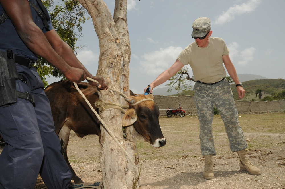 U.S. Army South in Haiti