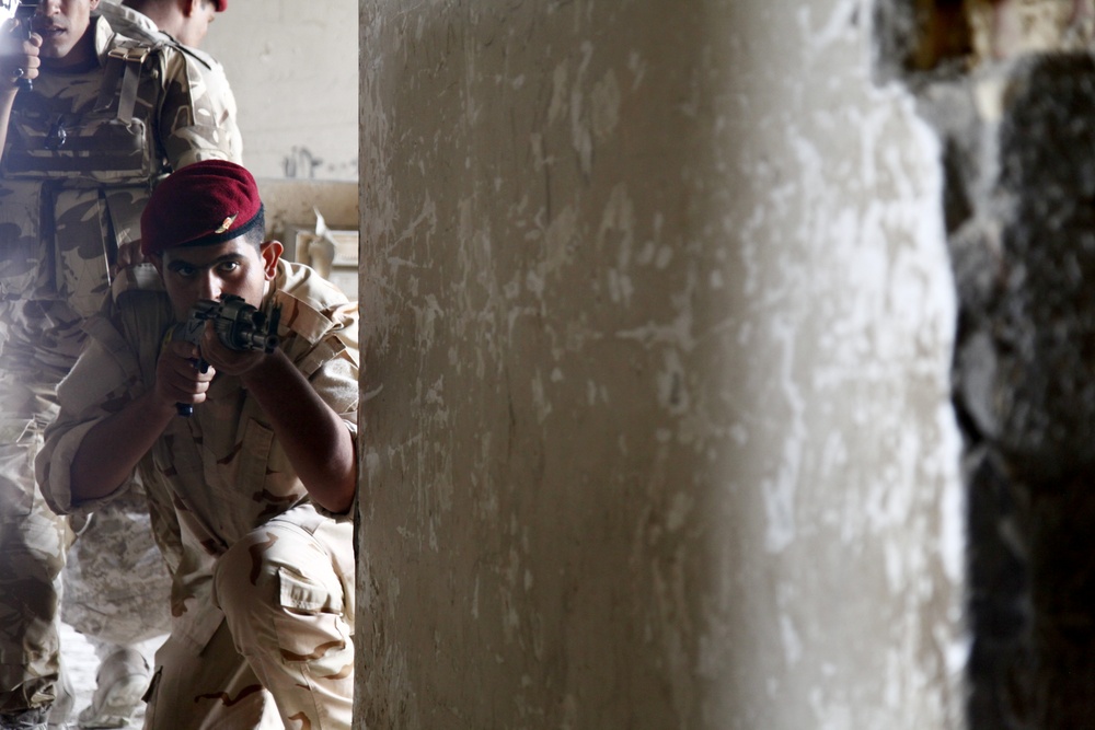 Operation Iraqi Freedom