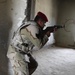 Operation Iraqi Freedom