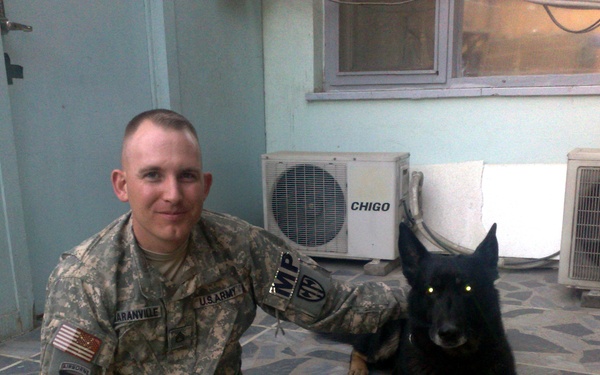 Military Working Dogs: a Tribute to Ardy