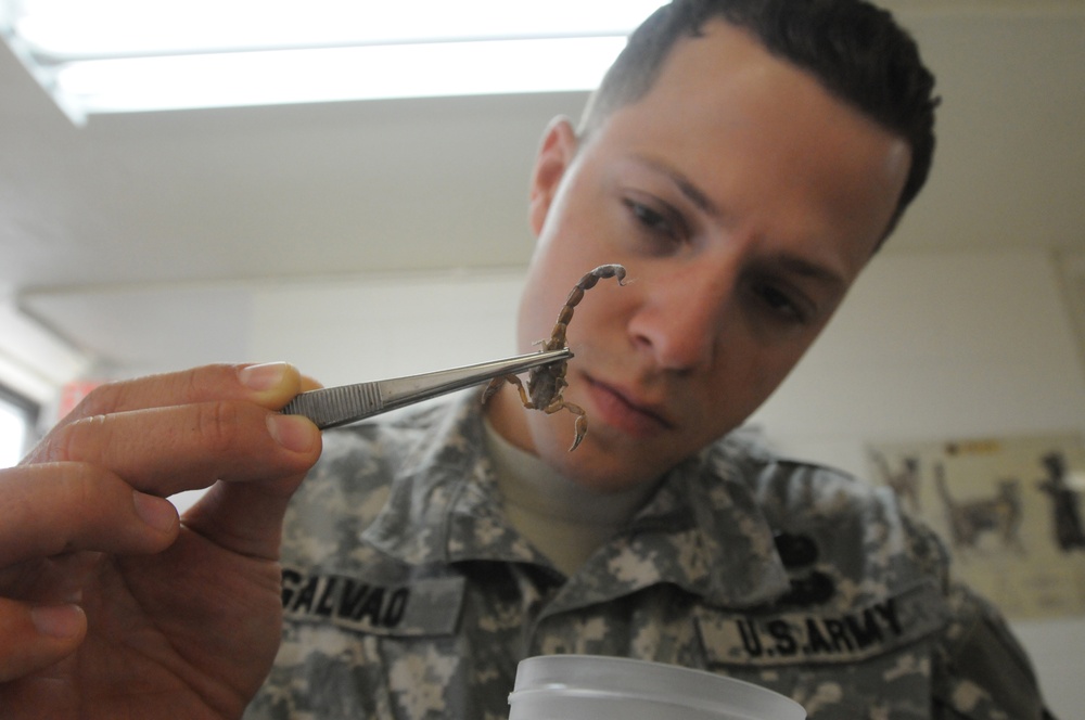 Vet Clinic Scorpion Exam