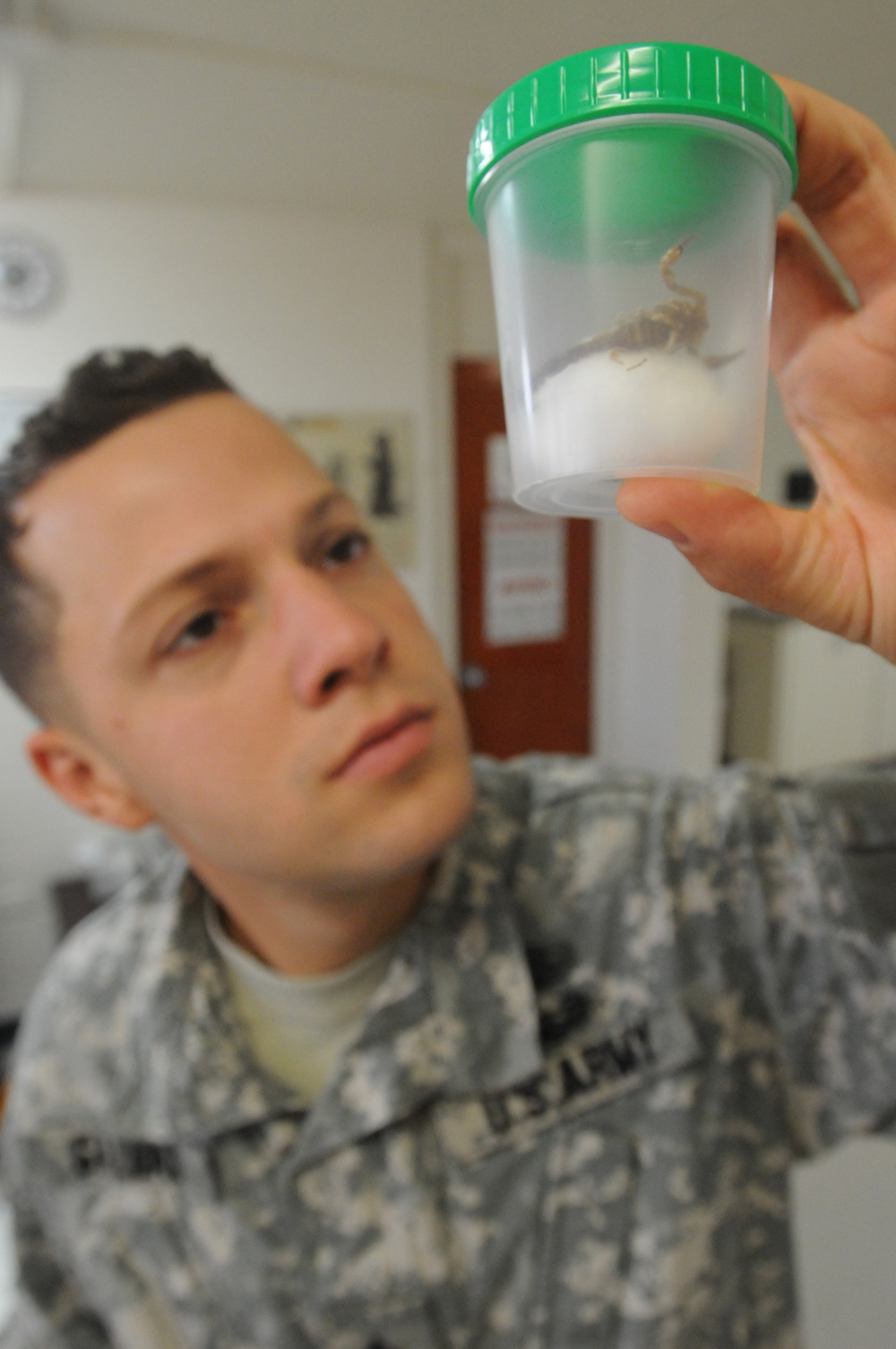 Vet Clinic Scorpion Exam