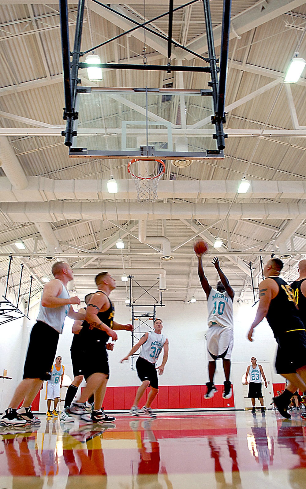 Devil dogs devour squids on court