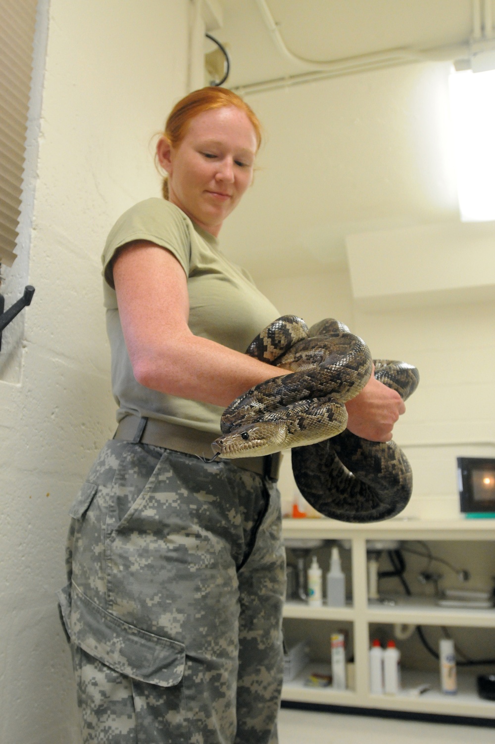 Snake Surgery