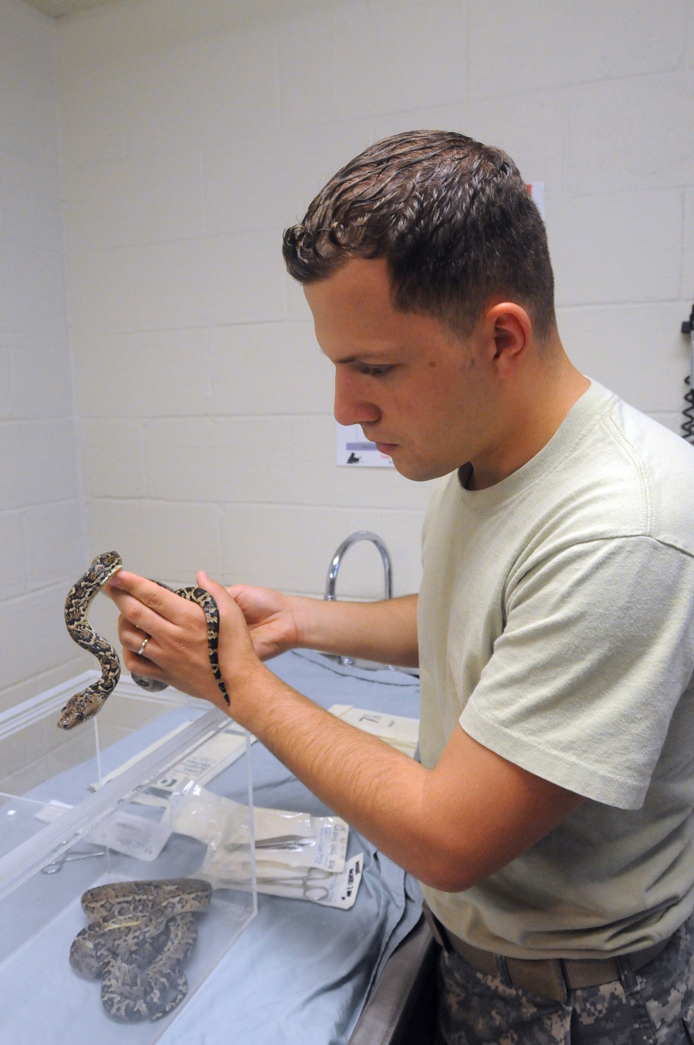 Snake Surgery