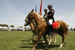 Annual Multi-Cultural Day celebration displays diversity