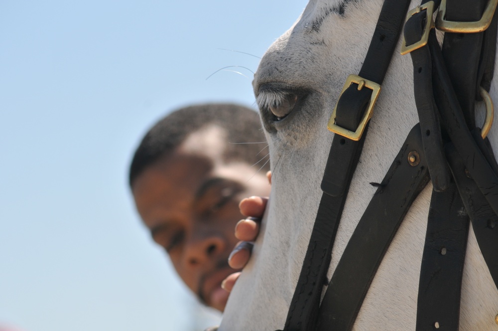 The Old Guard Participates in 2010 Joint Service Open House