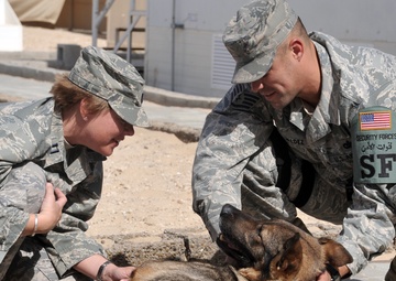 Ramstein captain, Saint Francis native, serves as public health officer, veterinarian for Southwest Asia wing
