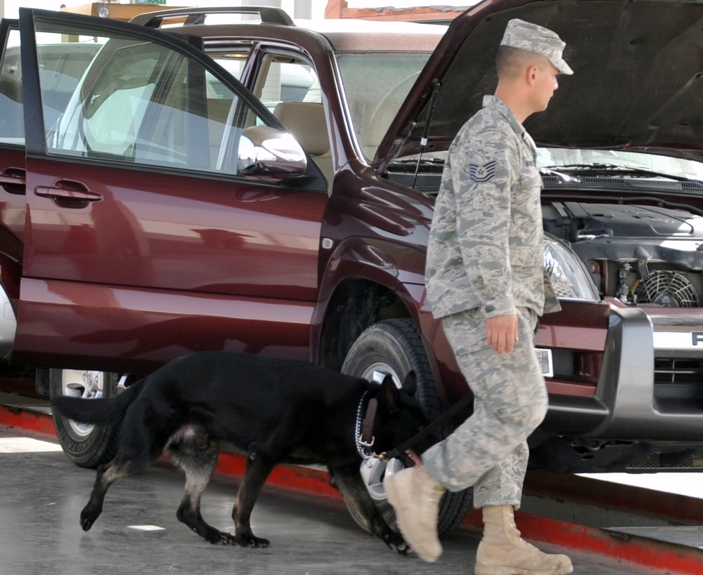 MWD Team Searches Vehicles in Southwest Asia