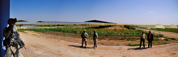 Refining Iraq's green thumb: Ninewa province receives agricultural overhaul