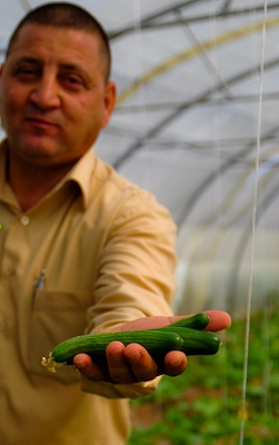 Refining Iraq's green thumb: Ninewa province receives agricultural overhaul