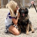 Minnesota Vikings cheerleader tour of Iraq goes to the dogs in Baghdad