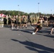 Cherry Point Squadrons Compete in Warrior Cup Championship