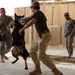 Military Working Dog