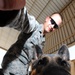 Military Working Dog