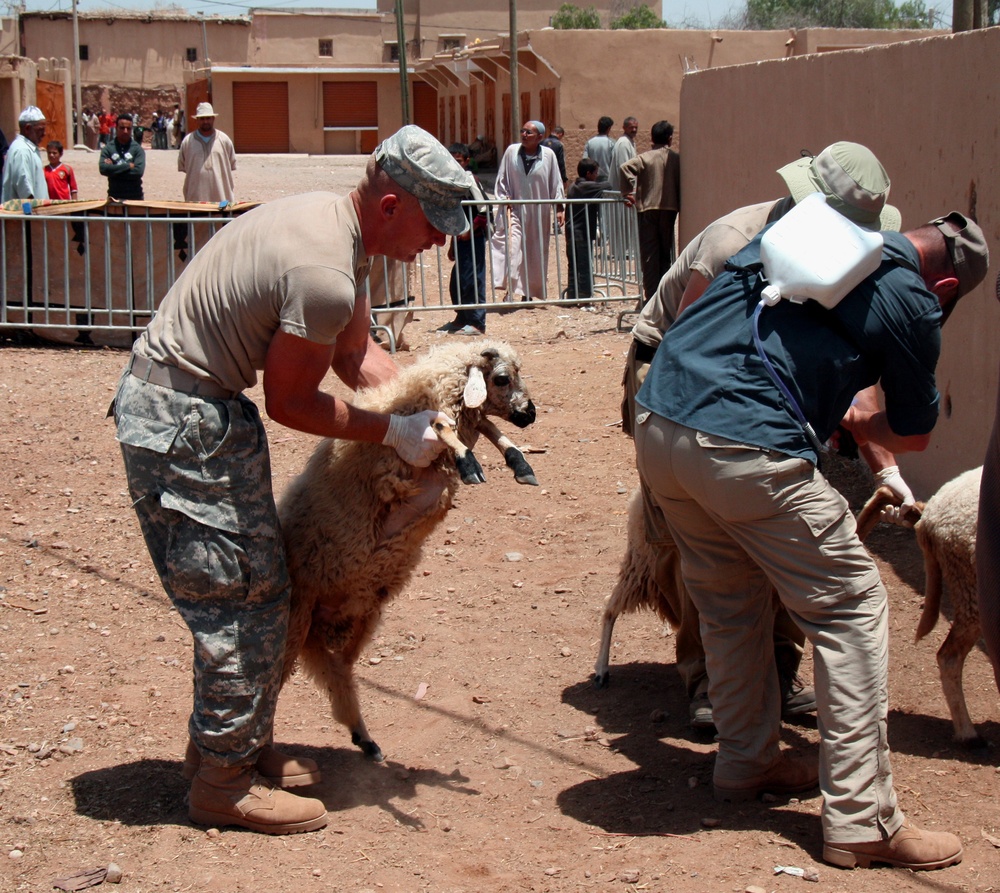 Reserve Marines, Sailors Support Joint Humanitarian Civic Action During AFRICAN LION