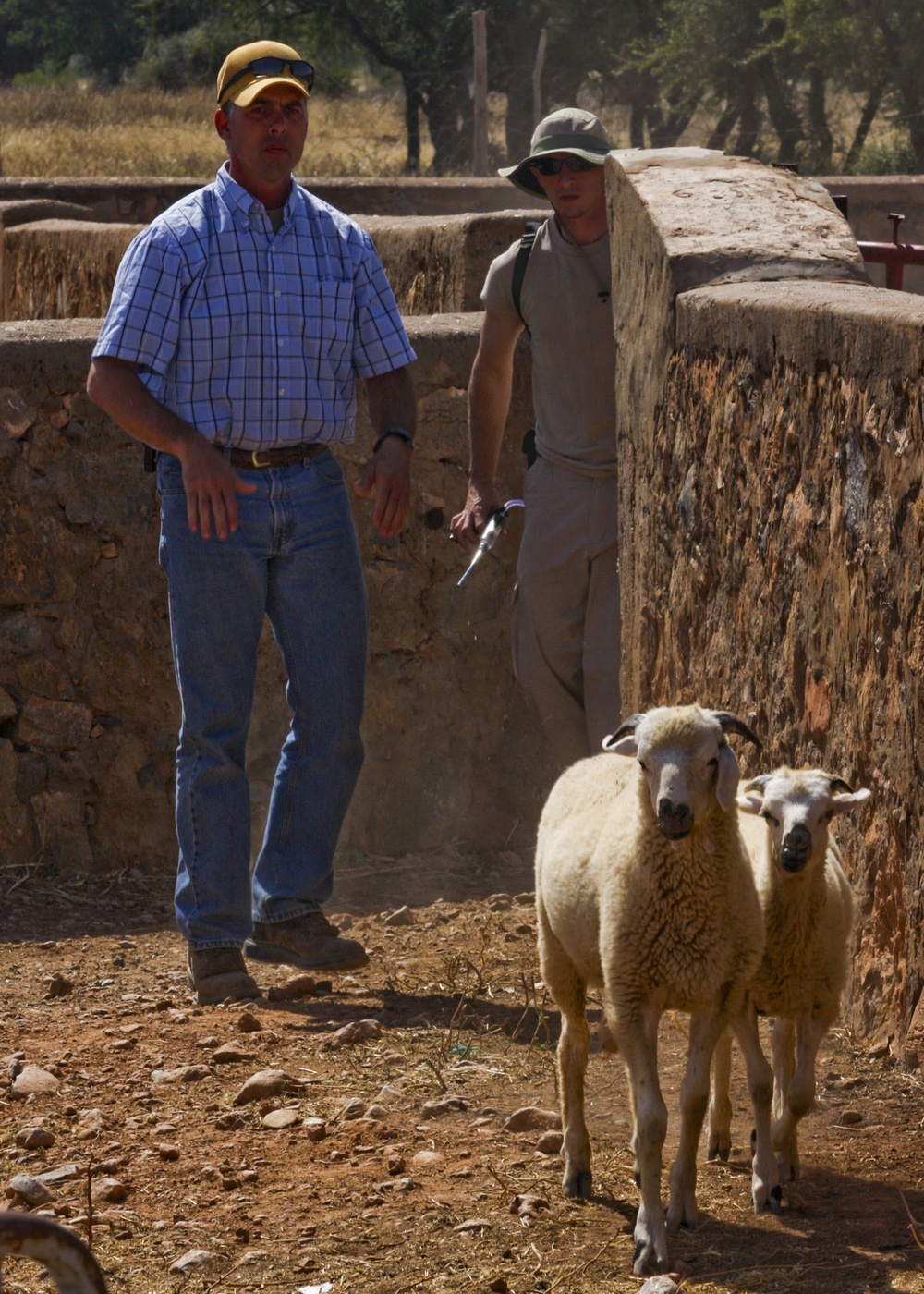 Veterinary Capability Mission Aids Moroccan Herdsmen During African Lion 10