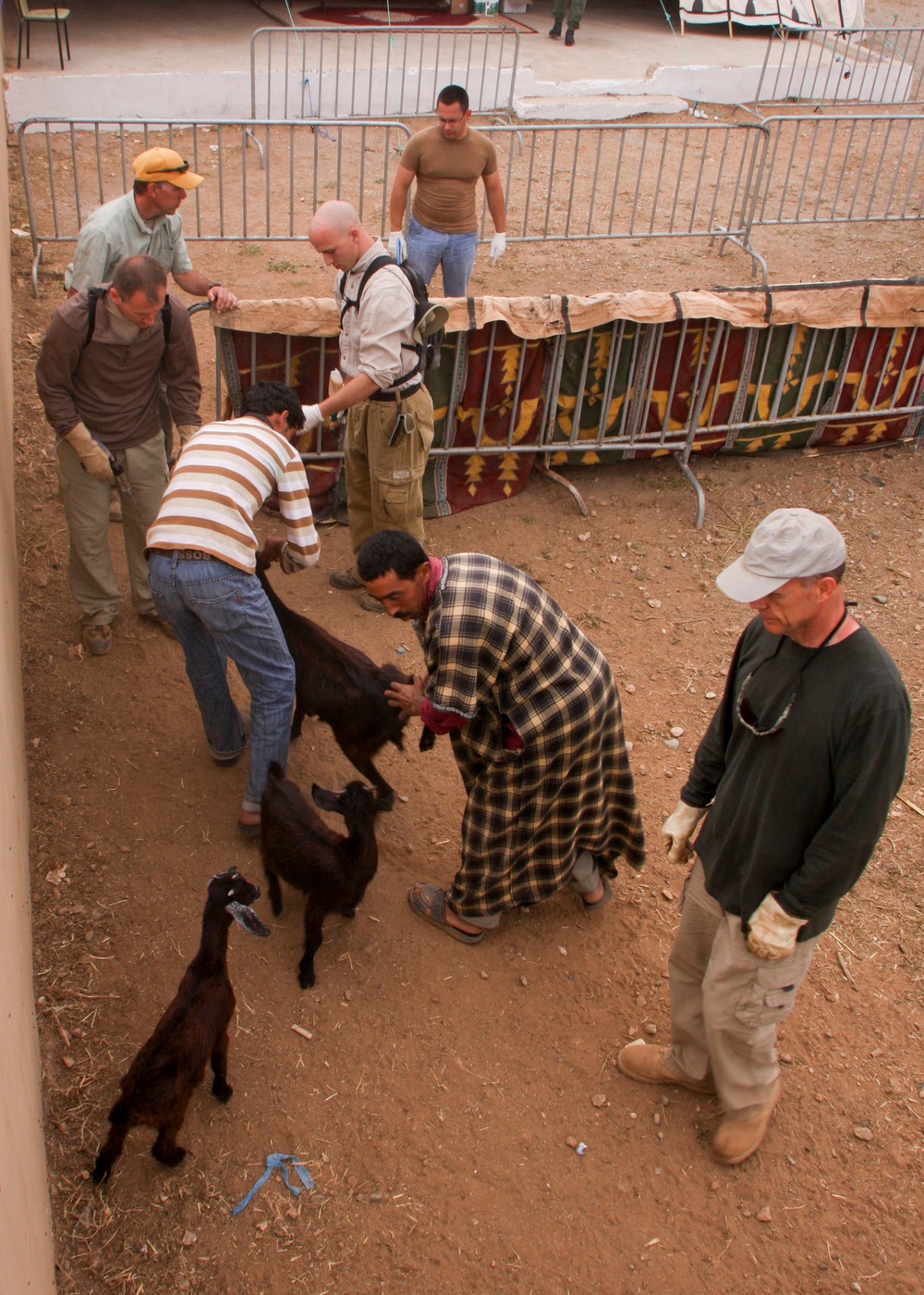 Veterinary Capability Mission Aids Moroccan Herdsmen During African Lion 10