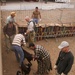 Veterinary Capability Mission Aids Moroccan Herdsmen During African Lion 10
