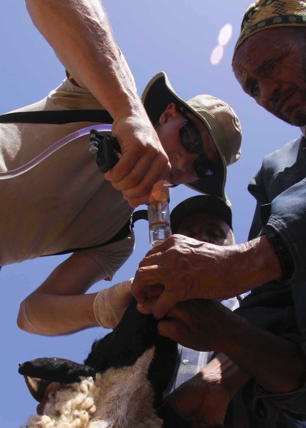 Veterinary Capability Mission Aids Moroccan Herdsmen During African Lion 10