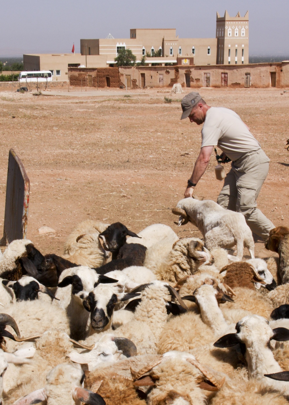 Veterinary Capability Mission Aids Moroccan Herdsmen During African Lion 10