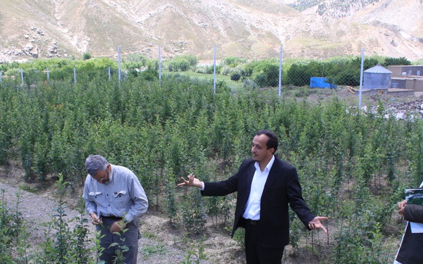Panjshir Tree Project