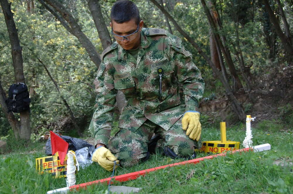 Humanitarian Demining Training