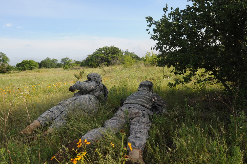 Soldiers strive to exceed standards during Renegade Battalion's field training