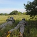 Soldiers strive to exceed standards during Renegade Battalion's field training