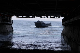Amphibious Exercise Dawn Blitz 2010 Commenced
