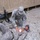 Charlie Company Takes the Lead in Medical Training