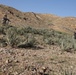 Combined patrol at Combat Outpost Sabari