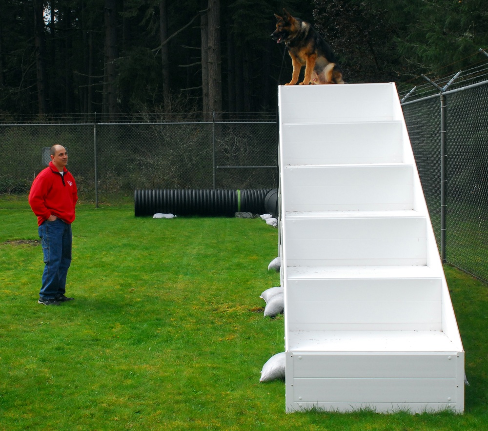 Bringing home heroes: One Soldier opens his home to military working dogs