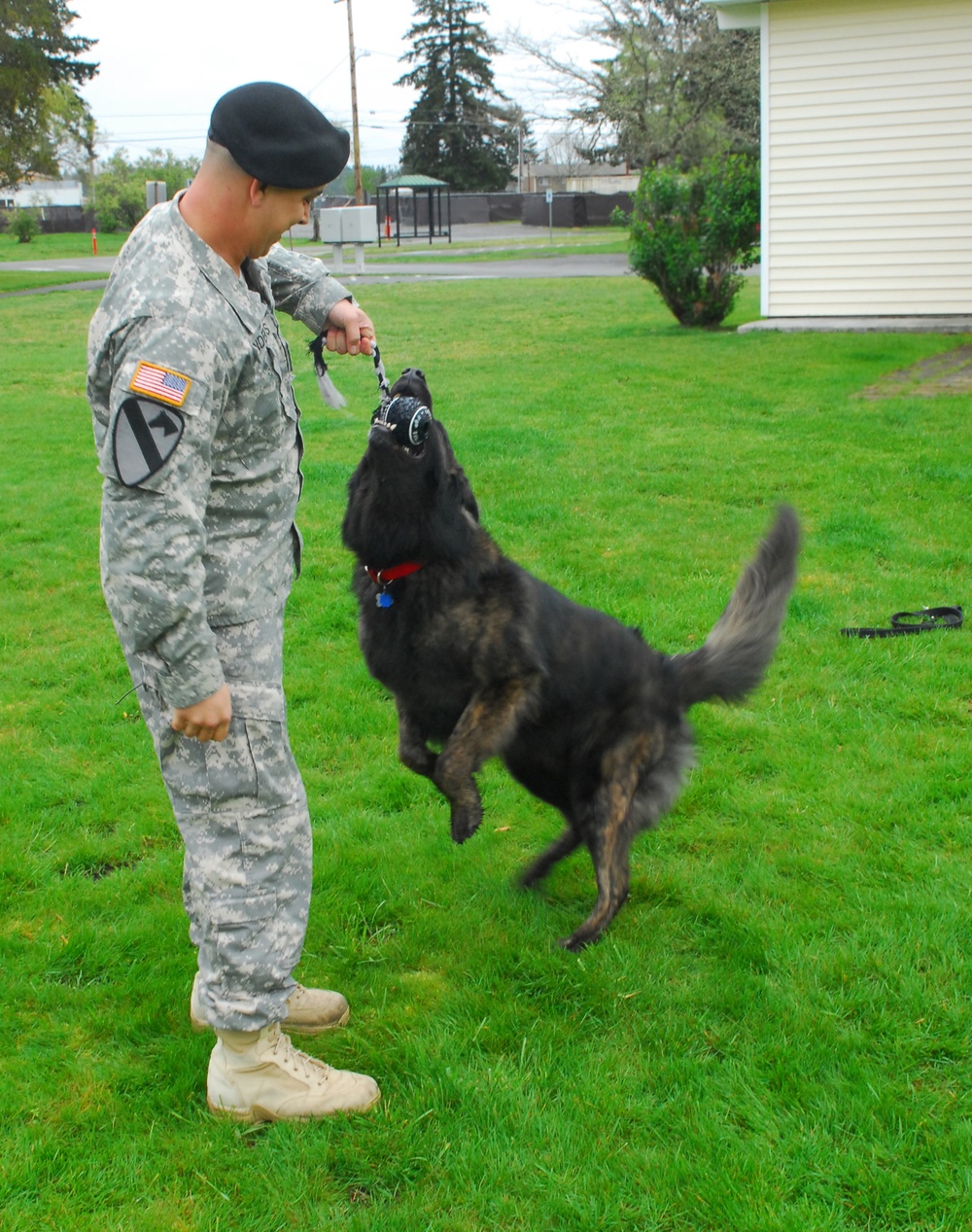Bringing home heroes: One Soldier opens his home to military working dogs