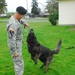 Bringing home heroes: One Soldier opens his home to military working dogs