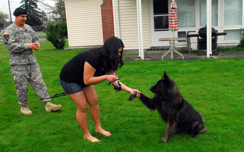 Bringing home heroes: One Soldier opens his home to military working dogs