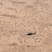 Task Force Destiny, 101st CAB AH-64 Apache