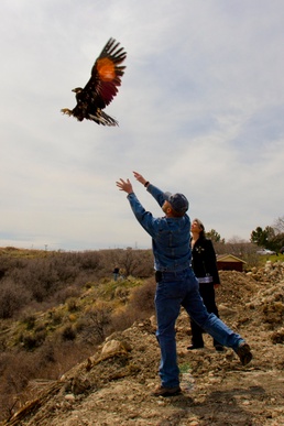 Memory of Utah's Fallen Warriors Takes Flight With Eagle