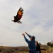 Memory of Utah's Fallen Warriors Takes Flight With Eagle