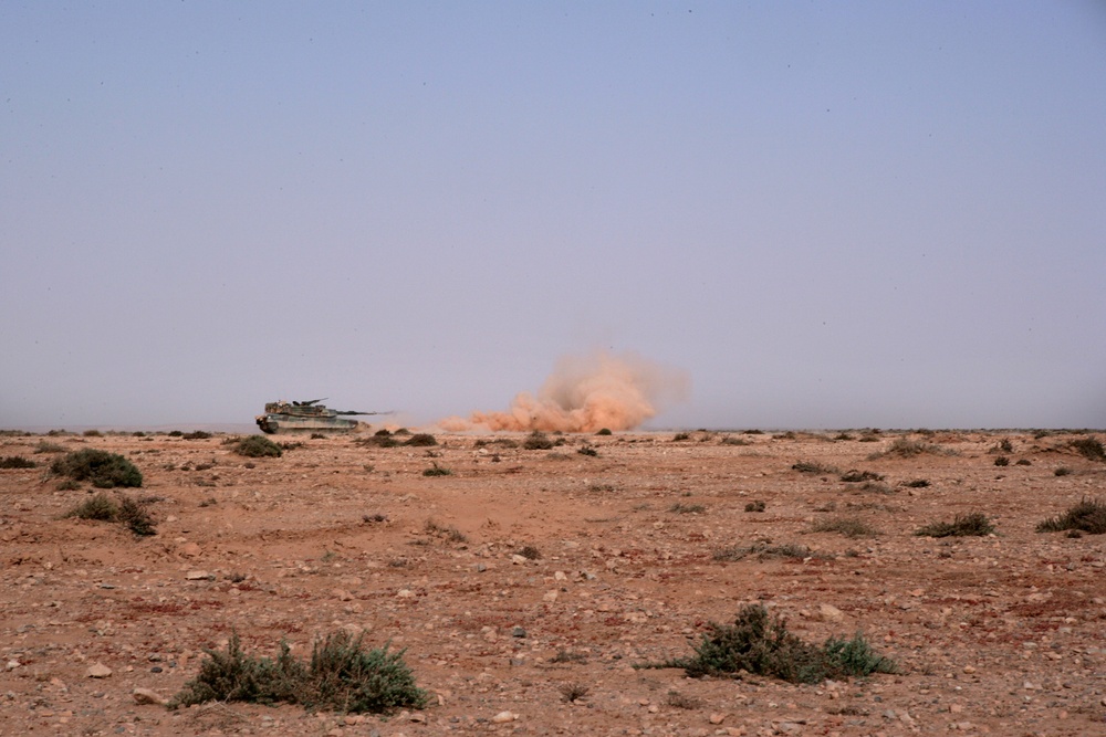 Tankers train tenaciously in Moroccan desert during AFRICAN LION 2010 combined exercise