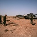 Tankers train tenaciously in Moroccan desert during AFRICAN LION 2010 combined exercise