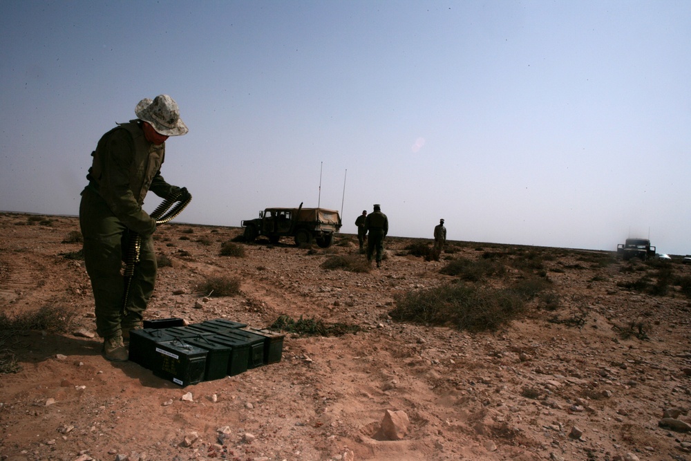 Tankers train tenaciously in Moroccan desert during AFRICAN LION 2010 combined exercise