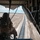 Afghan Railroad
