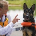 Search and Rescue Dogs Train in Indiana Waters