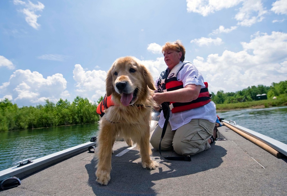 Train search and rescue hot sale dog