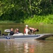 Search and Rescue Dogs Train in Indiana Waters