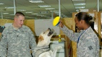 Image 20: Nonconventional NCO raises morale, helps reduce stress
