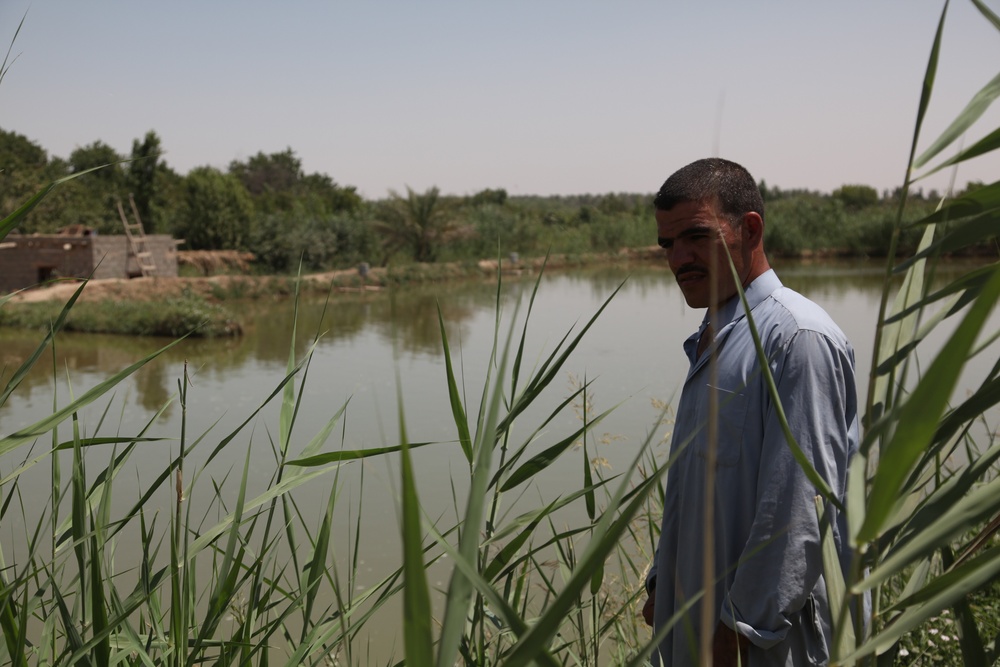 Salah-ad-Din farm