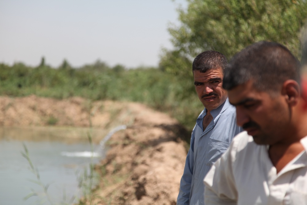 Salah-ad-Din farm